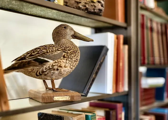 Гостевой дом Palazzo Dessy Historic House 4*